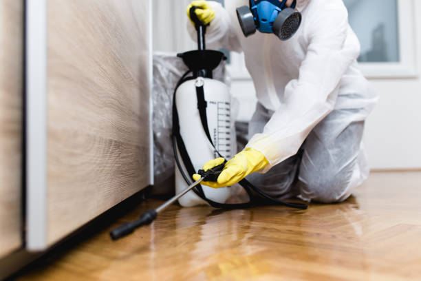 Best Pest Removal Services  in Eastport, NY