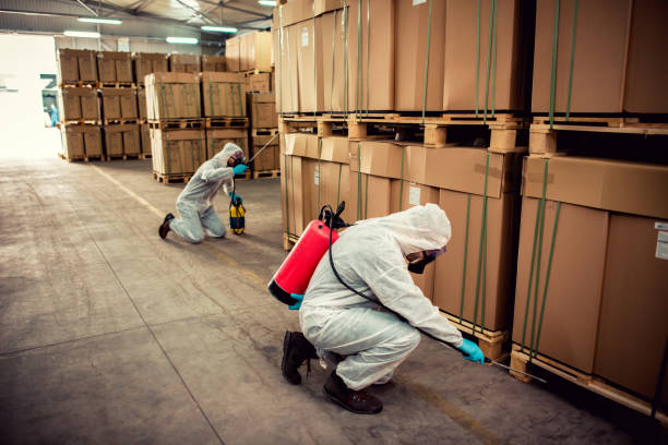 Best Emergency Pest Control  in Eastport, NY