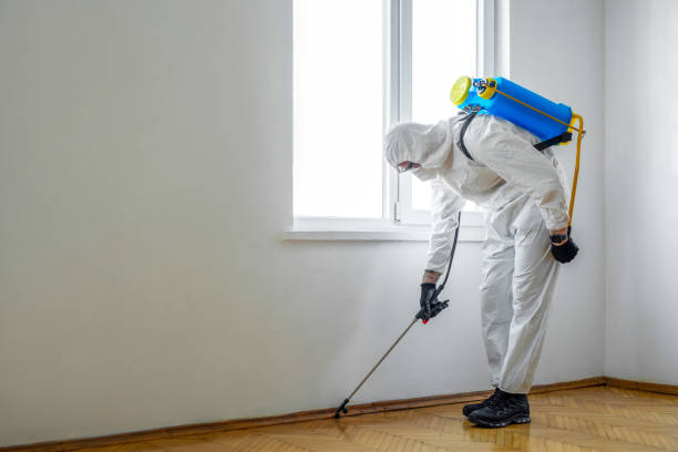 Wildlife Control Services in Eastport, NY