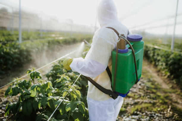 Best Cockroach Control Services  in Eastport, NY